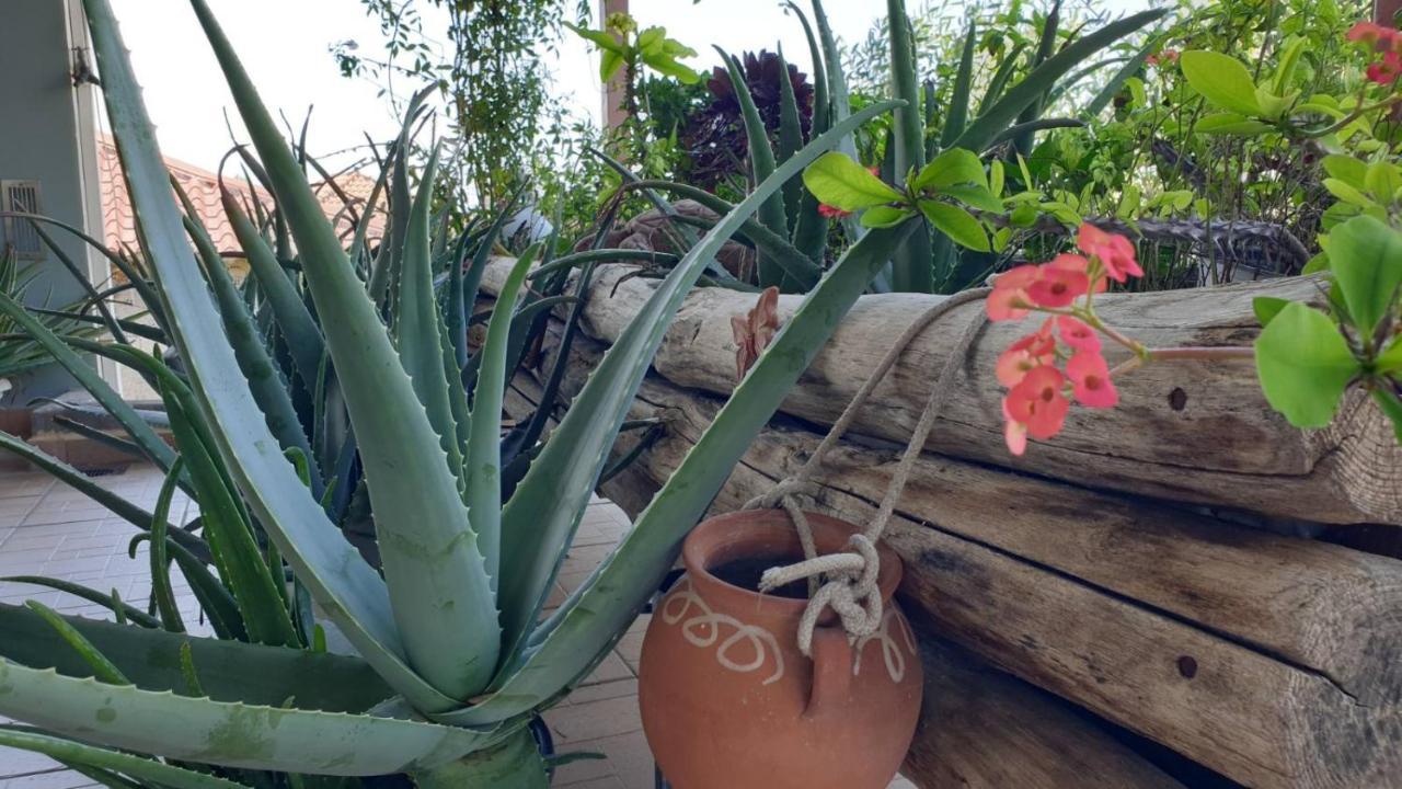 Wonderful Spot To Recharge Villa Kalamata Exterior photo